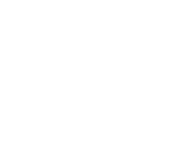 K2 Bluestar